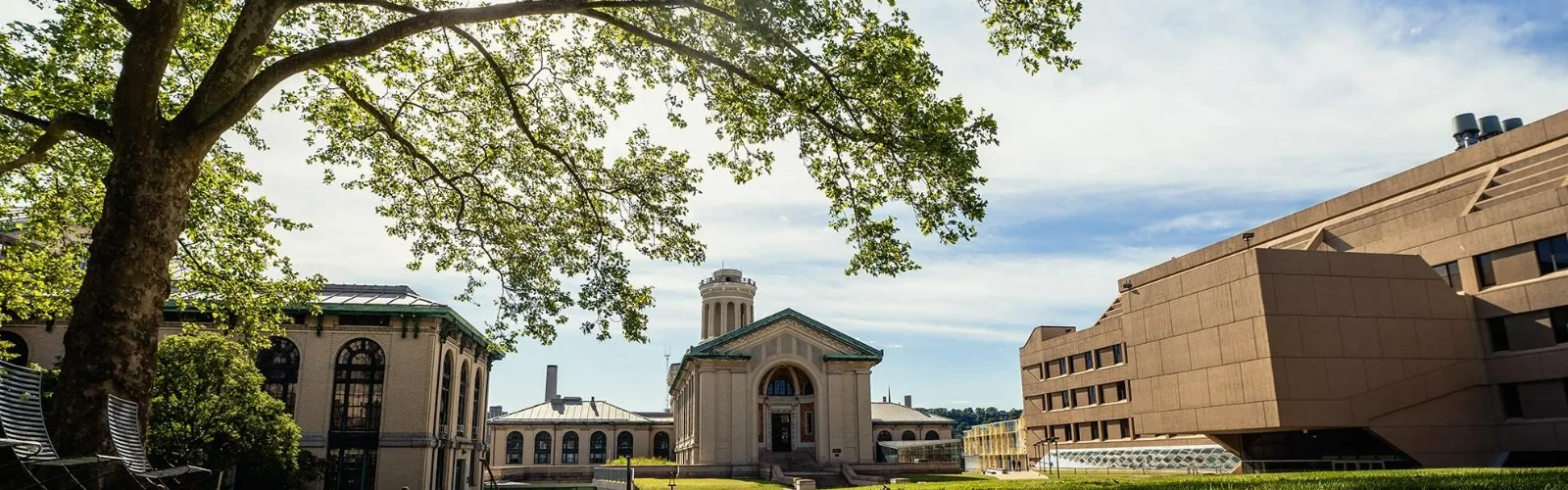 Stay Smart: Best Hotels Near Carnegie Mellon University for a Convenient Visit